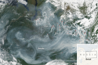 Fires in northwest Siberia on July 19th, 2016. Image: NASA Earth Observatory